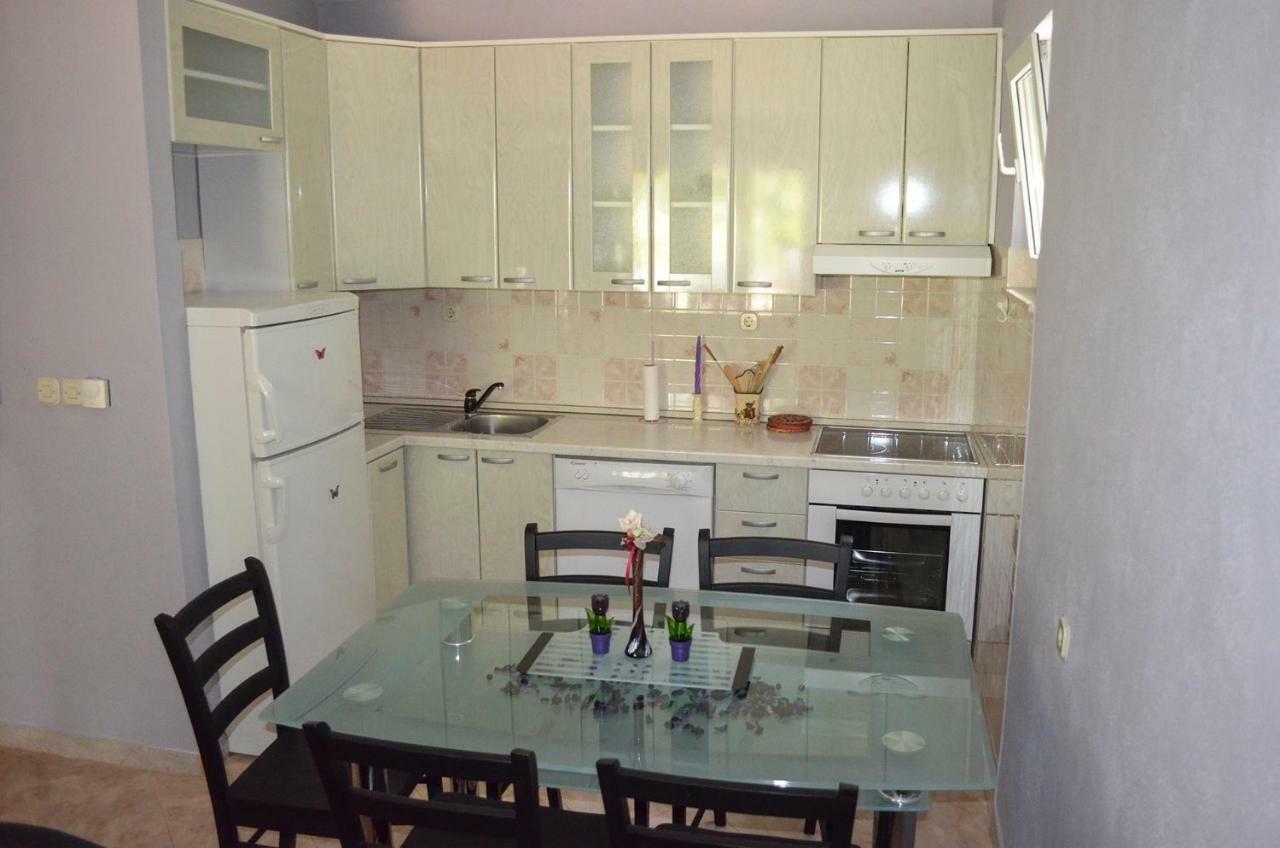 Apartment Anton *
